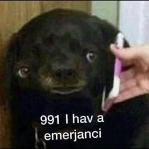 Meet your Posher, Sabah